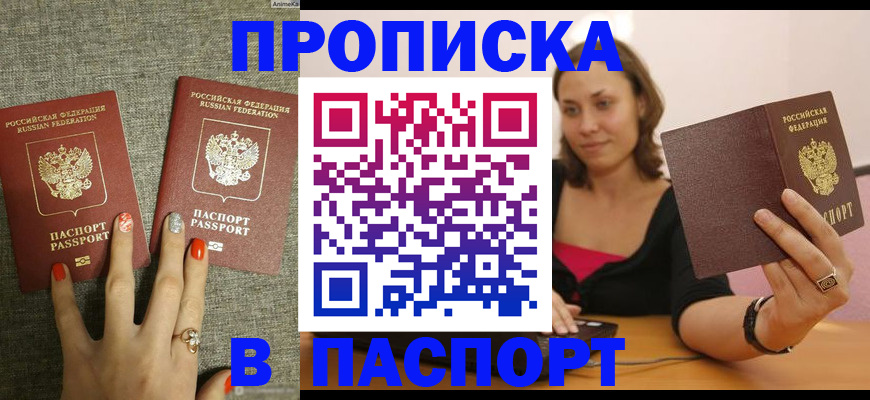 прописка паспорт в Павловске